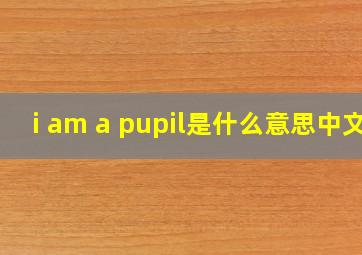 i am a pupil是什么意思中文